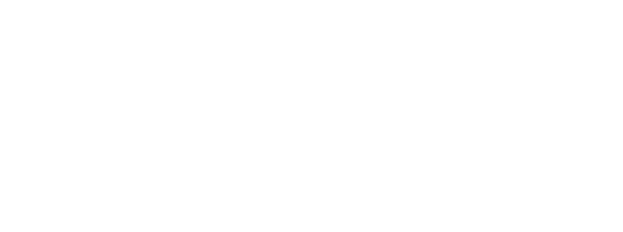 Africa Artificial Intelligence Institute